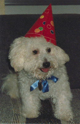 Scooter's First Birthday